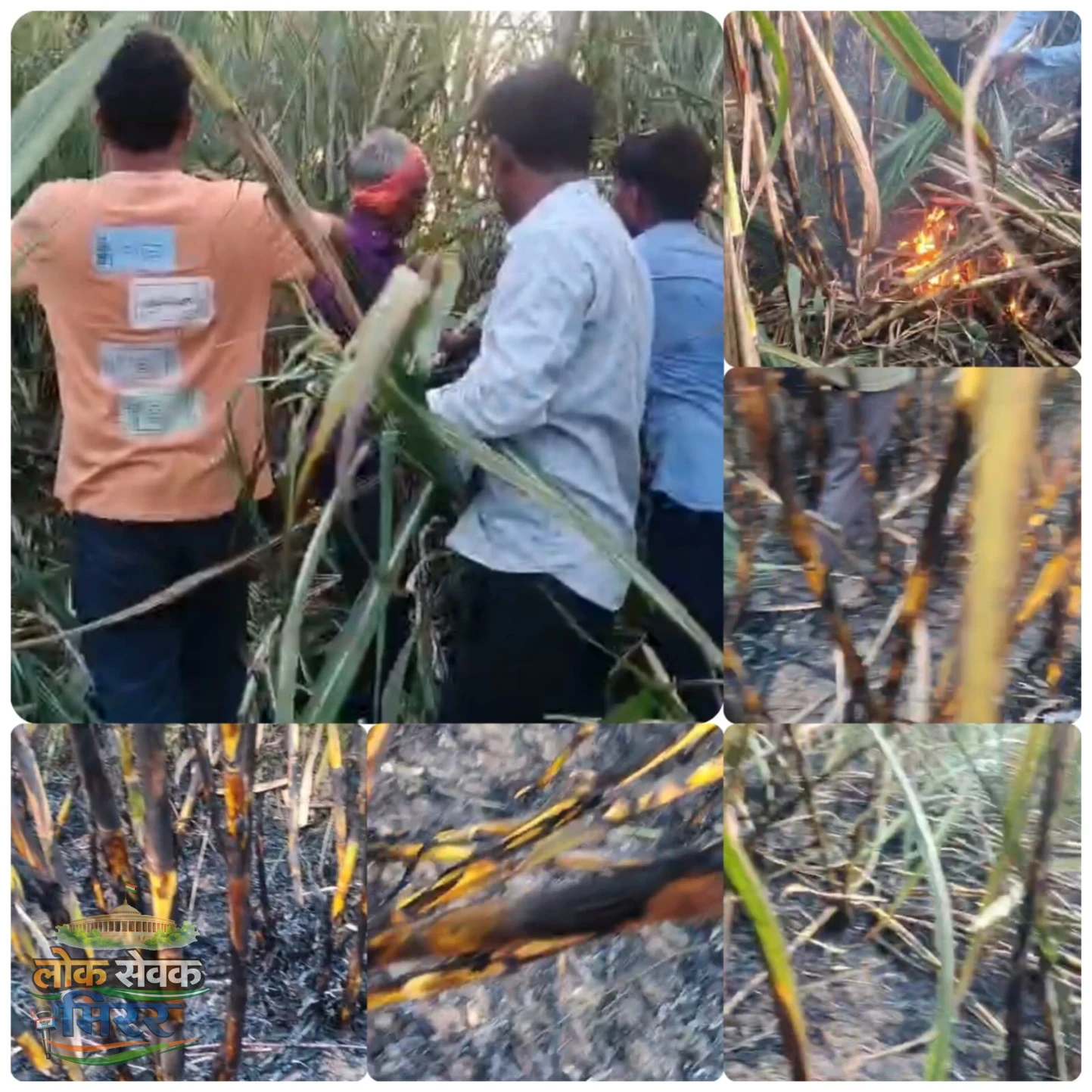 पंडरिया की दमकल गाड़ी खराब, कवर्धा से मदद पहुंचने तक जल चुकी थी गन्ने की फसल, अग्निशमन व्यवस्था पर उठे गंभीर सवाल